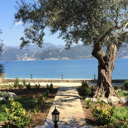Kapri Sahil Evleri Feriehus Selimiye (Aegean)