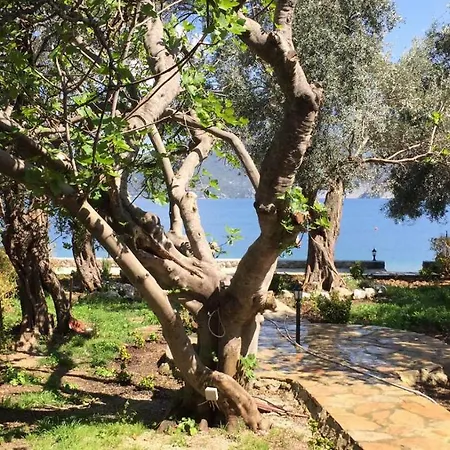 Kapri Sahil Evleri * Selimiye (Aegean)