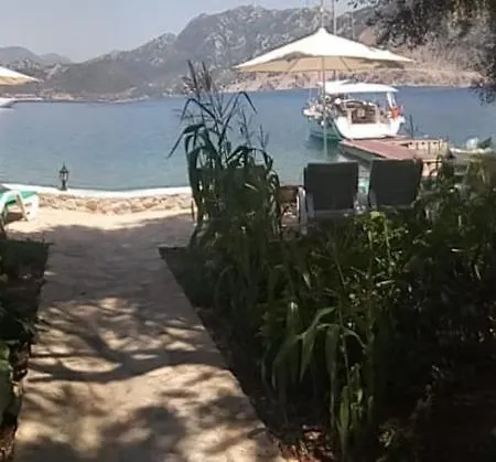 Feriehus Kapri Sahil Evleri